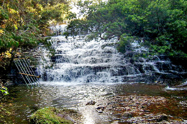 Pambar Falls Kodaikanal
